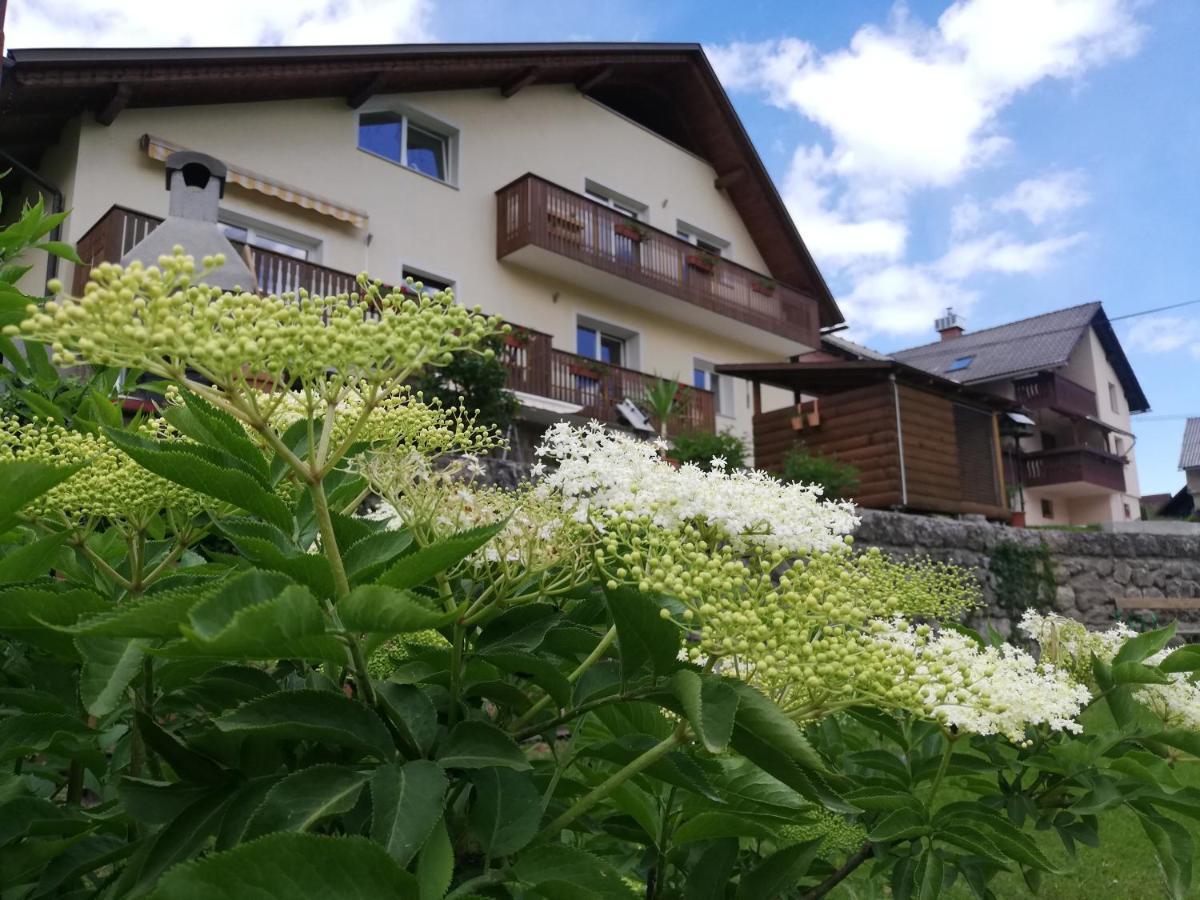 Apartments Mas Довье Экстерьер фото