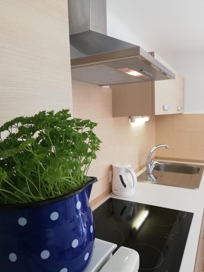 Apartments Mas Довье Экстерьер фото